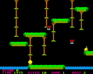 jungle